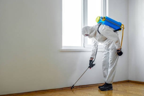 Best Pest Control Cost  in Rainbow Park, FL