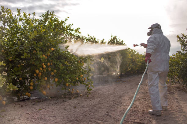 Best Residential Pest Control  in Rainbow Park, FL