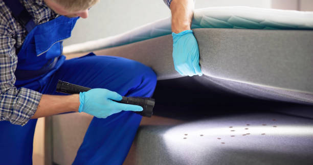 Best Wasp Removal Services  in Rainbow Park, FL